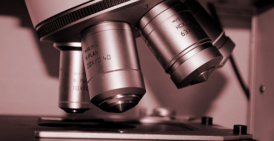 精細化的專業(yè)品質